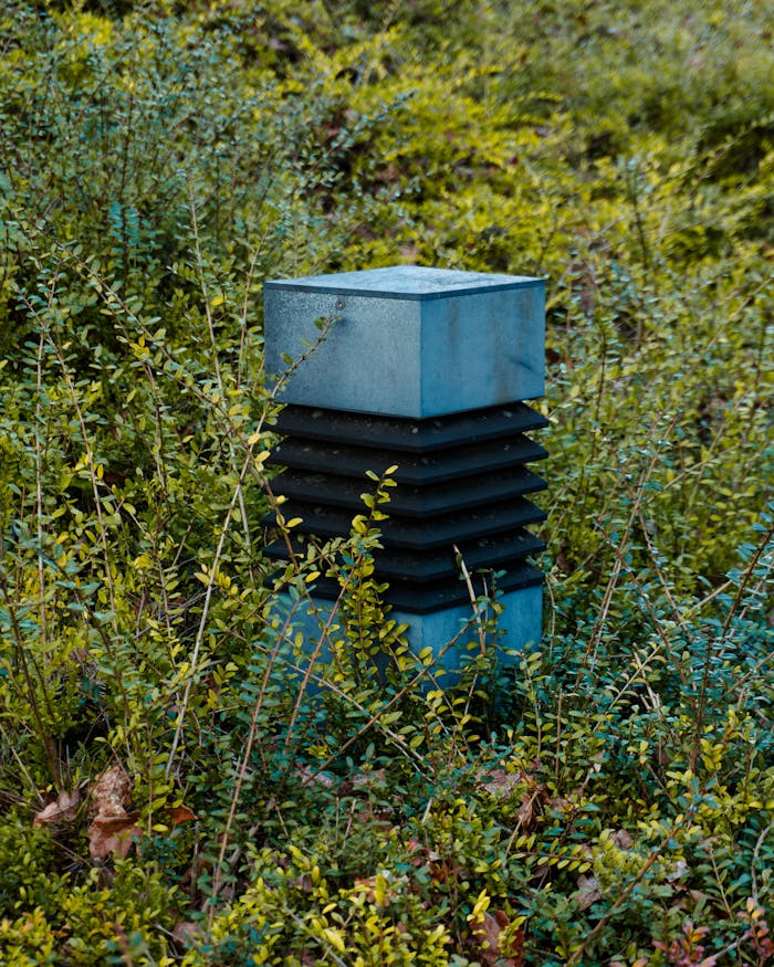 gallery-03 A weather sensor surrounded by lush green vegetation in an outdoor setting.